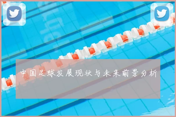 中国足球发展现状与未来前景分析