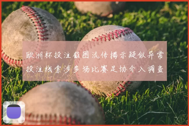 欧洲杯投注截图流传揭示疑似异常投注线索涉多场比赛足协介入调查