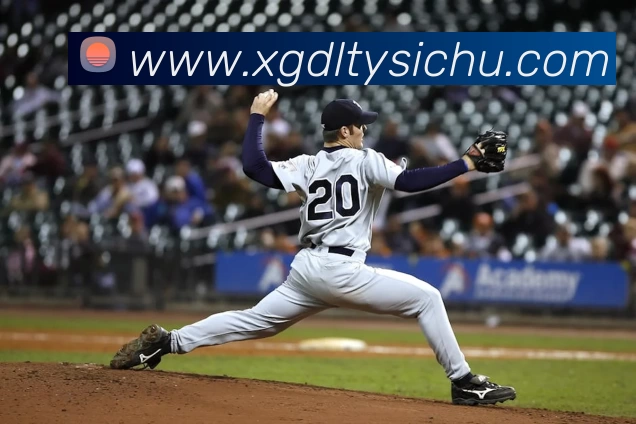 完美(中国体育)官方网站APP 封面图